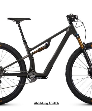IBIS 2026 Bike Ripley SL XT di2 Fox F34 SL Raw Carbon S